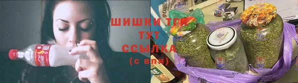 PSILOCYBIN Верея