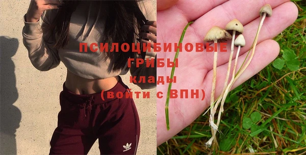 гидропоника Сафоново