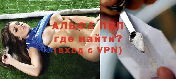 PSILOCYBIN Верея