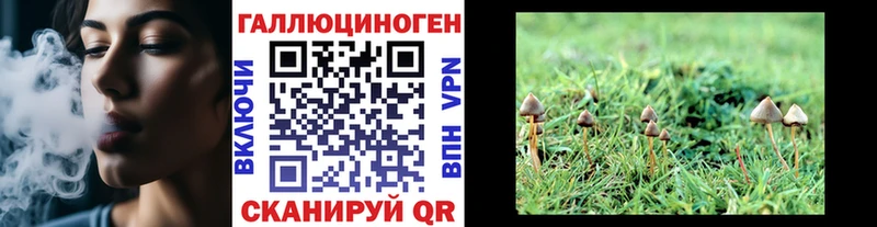 наркотики Высоцк KRAKEN зеркало Галлюциногенные грибы прущие грибы
